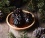 Фото 2 Кедровое варенье из целой кедровой шишки, 150 гр