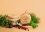 Фото 2 Сибирское варенье - брусника с мятой в сосновом сиропе, 200 мл.